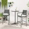 Set of 2 Patio Wicker Barstools with Armrests and Soft Cushions Ideal for Outdoor Use